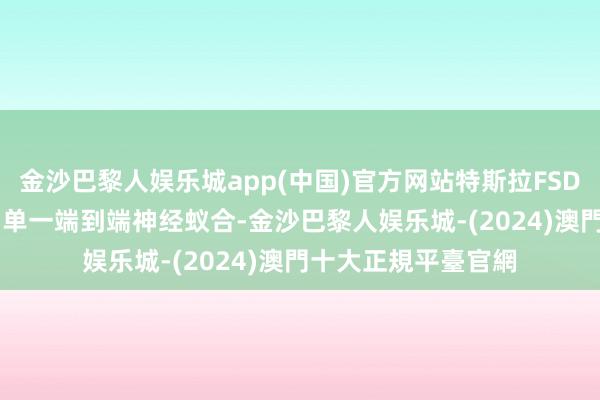 金沙巴黎人娱乐城app(中国)官方网站特斯拉FSD V12测试版升级为单一端到端神经蚁合-金沙巴黎人娱乐城-(2024)澳門十大正規平臺官網