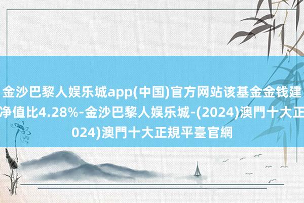 金沙巴黎人娱乐城app(中国)官方网站该基金金钱建树：股票占净值比4.28%-金沙巴黎人娱乐城-(2024)澳門十大正規平臺官網